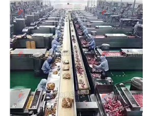 選擇真空包裝機(jī)要關(guān)注哪幾點(diǎn)？