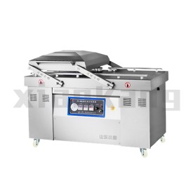 DZ-600/2S全自動真空包裝機