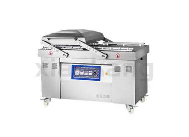 DZ-600/2S全自動真空充氣包裝機